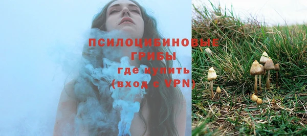 бошки Алексин